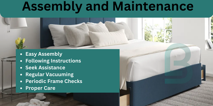 Assembly and Maintenance