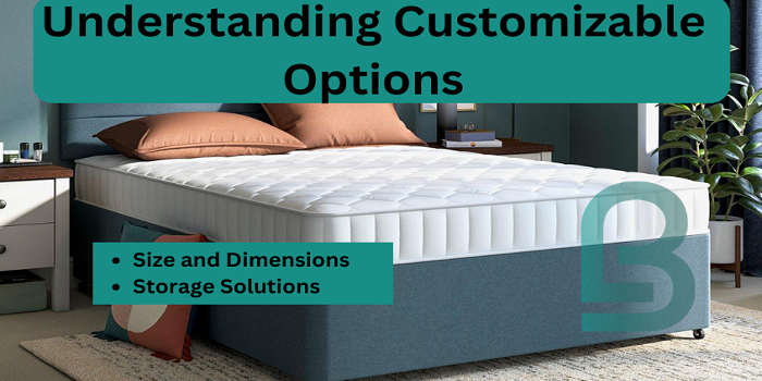 Understanding Customizable Options